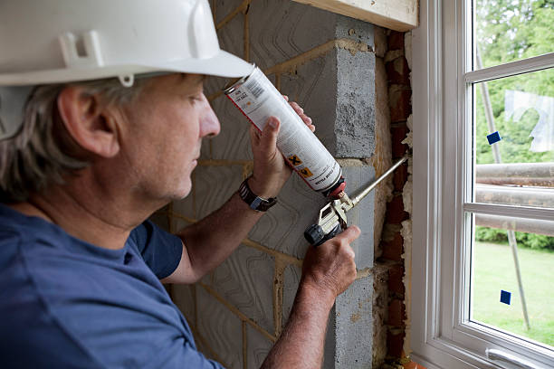 Best Insulation Repair Services  in , HI